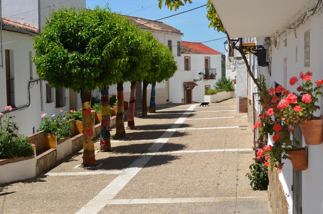 Casa La Puente